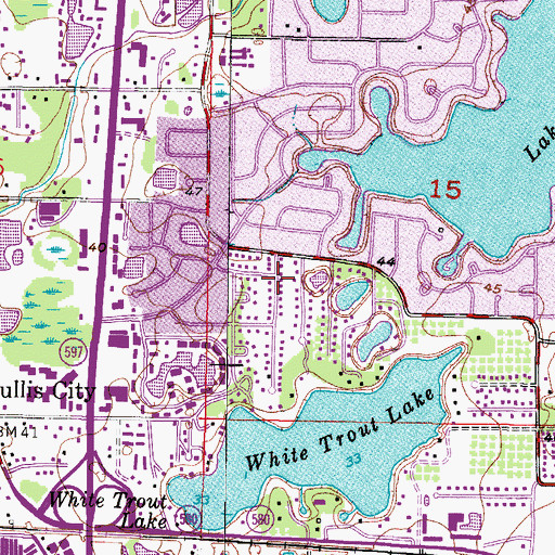 Topographic Map of Hampton Place, FL