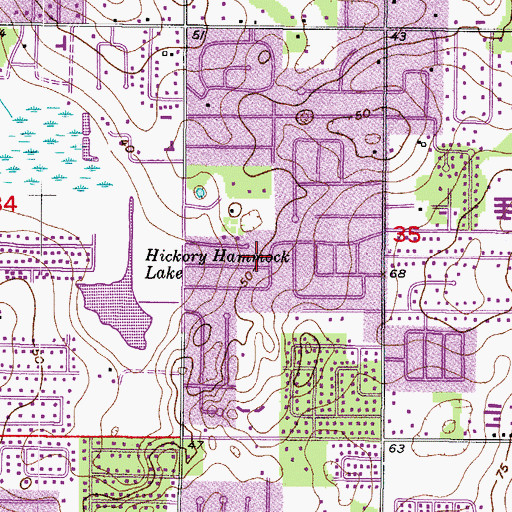 Topographic Map of Hickory Hammock, FL