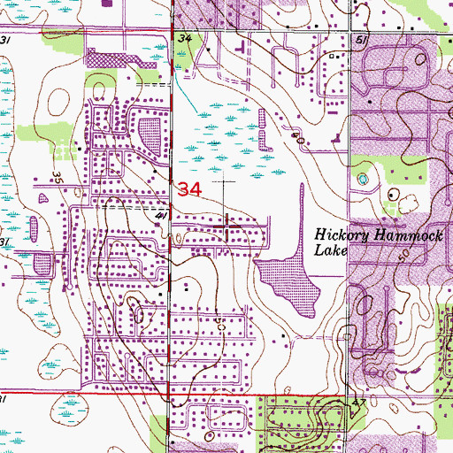 Topographic Map of Hickory Lake Estates, FL