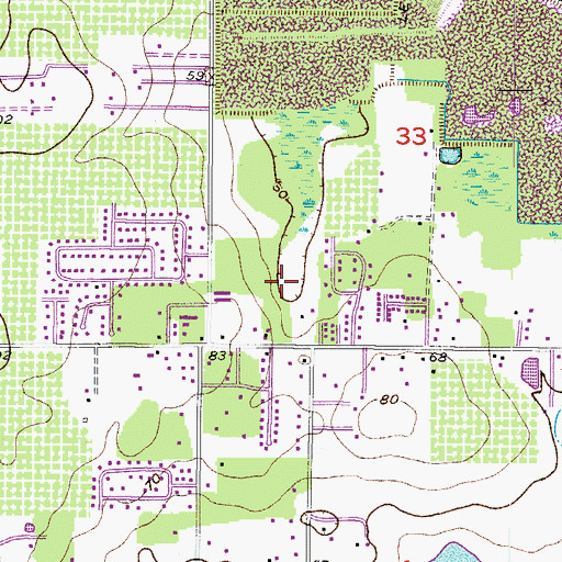 Topographic Map of Hidden Forest East, FL