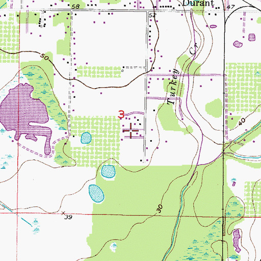 Topographic Map of Hinson Acres, FL