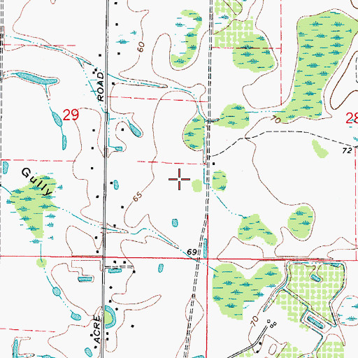 Topographic Map of Holloman Branch Estates, FL