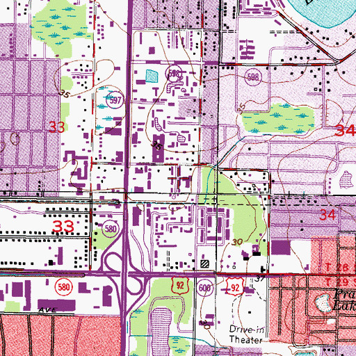 Topographic Map of Idle Forest, FL