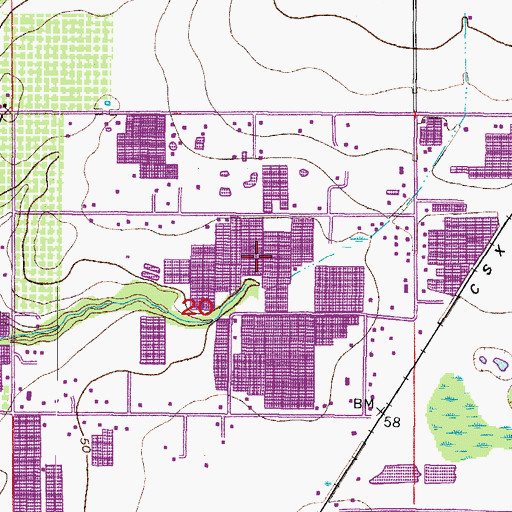 Topographic Map of Kings, FL