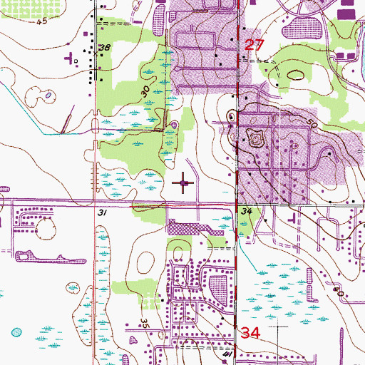 Topographic Map of La Viva, FL