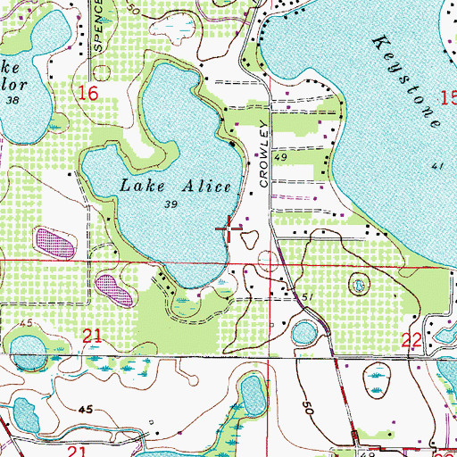 Topographic Map of Lake Alice Estates, FL
