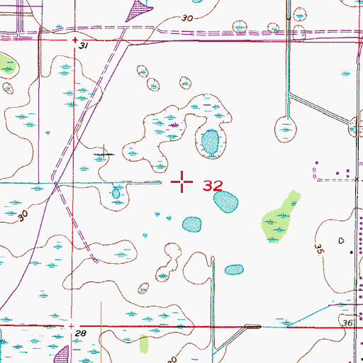 Topographic Map of Lake Brandon, FL