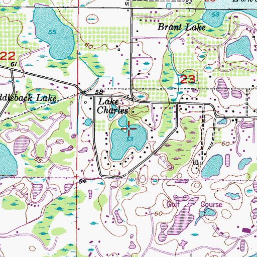 Topographic Map of Lake Charles, FL