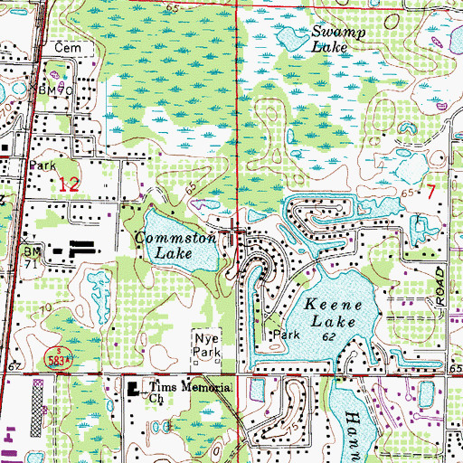 Topographic Map of Lake Commiston, FL