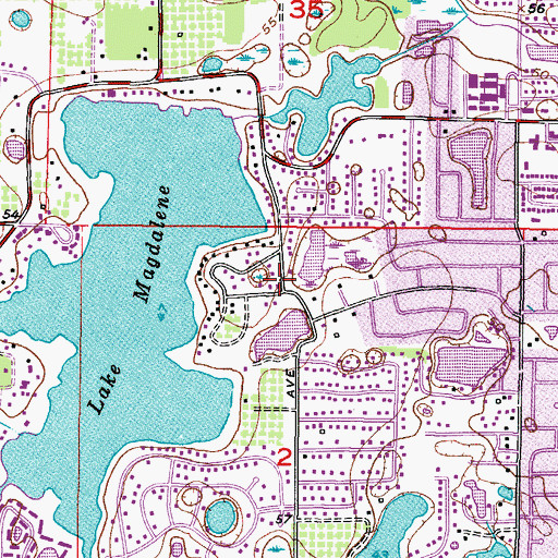 Topographic Map of Lake Magdalene Forest, FL
