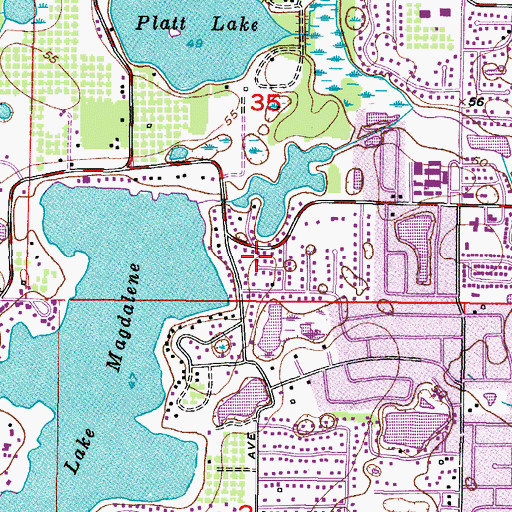 Topographic Map of Lake Magdalene Vista, FL