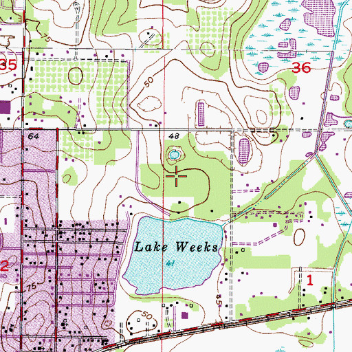 Topographic Map of Lake Weeks, FL