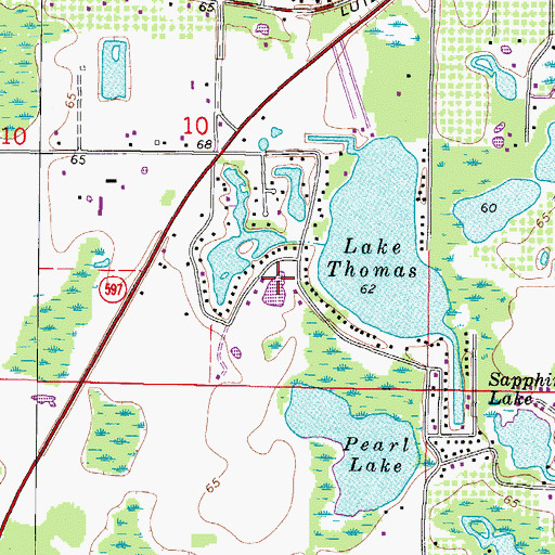 Topographic Map of Lake Wilson Estates, FL