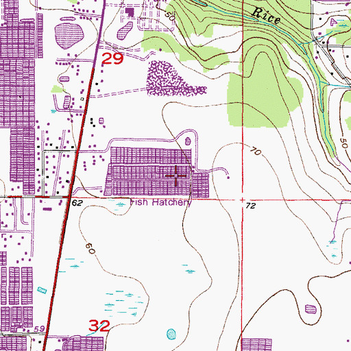 Topographic Map of Lakeside, FL