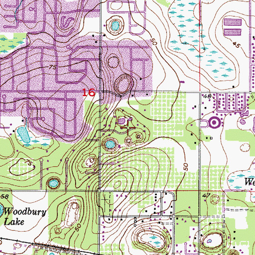 Topographic Map of Lakewood Hills, FL