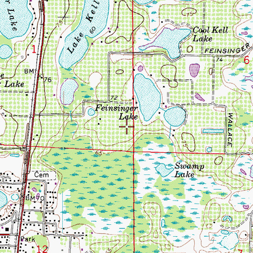 Topographic Map of Pine Crest Estates, FL