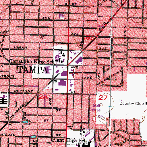 Topographic Map of Pine Grove, FL