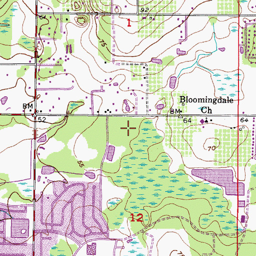 Topographic Map of Pine Grove Reserve, FL