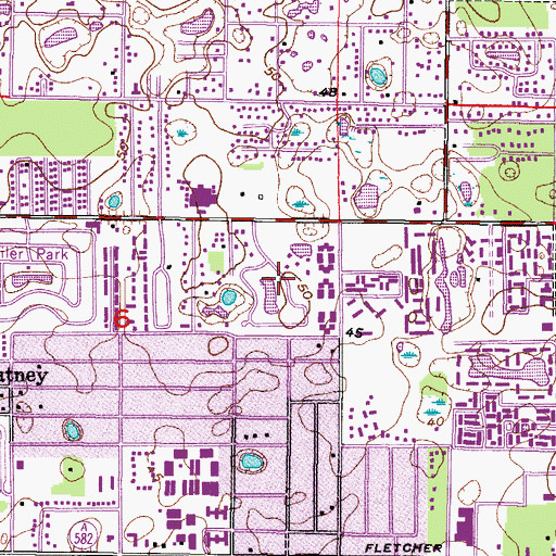 Topographic Map of Pine Lake, FL