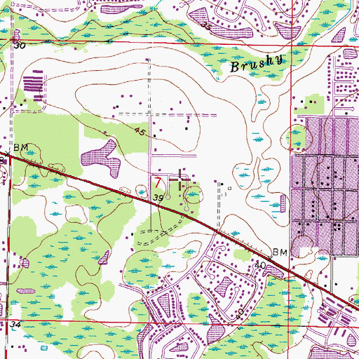 Topographic Map of Pine Meadows, FL