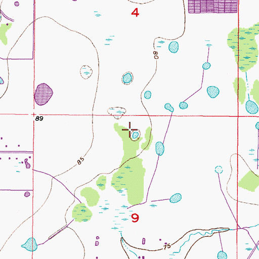 Topographic Map of Pine Trace, FL
