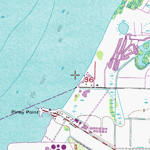 Topographic Map of Piney Point, FL