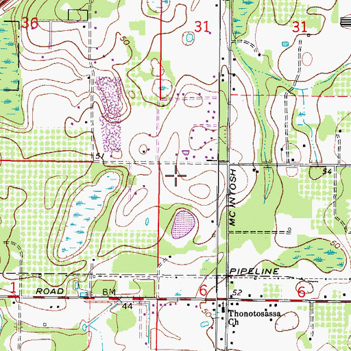 Topographic Map of Pinker, FL