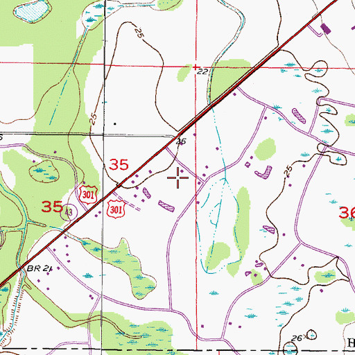 Topographic Map of Pippins, FL