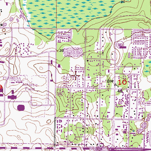 Topographic Map of Pleasant Dale, FL