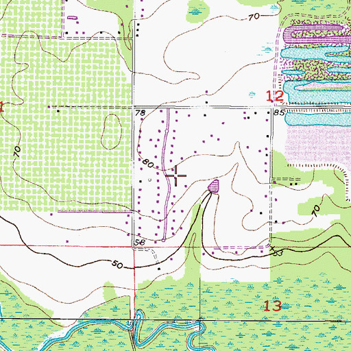 Topographic Map of Pleasant Grove Acres, FL