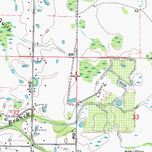 Topographic Map of Pless Road, FL