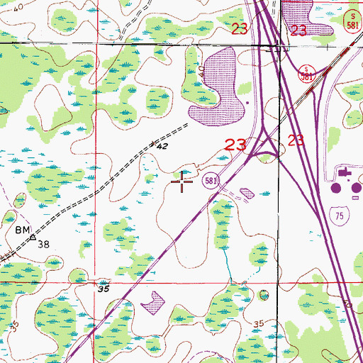 Topographic Map of Pointe at Tampa Palms, FL