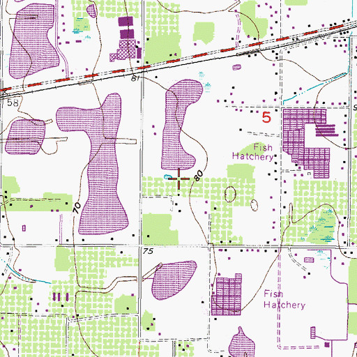 Topographic Map of Popago Estates, FL