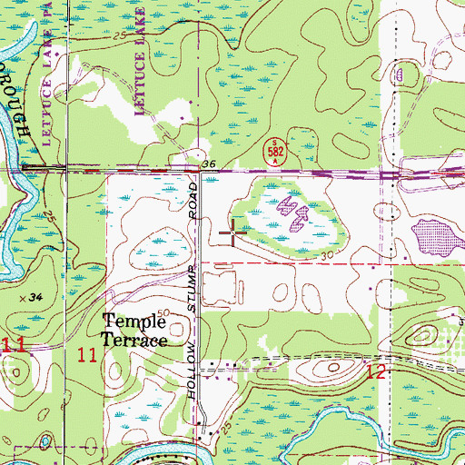Topographic Map of Preserve at Fletcher Avenue, FL