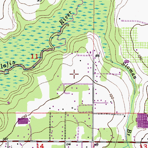 Topographic Map of Pritcher Manor, FL
