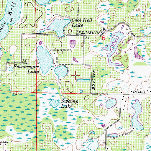 Topographic Map of Puleo Estates, FL