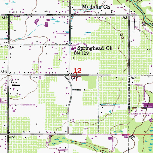 Topographic Map of Ralston Woods, FL