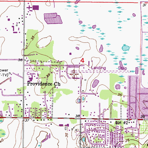 Topographic Map of Random Oaks, FL