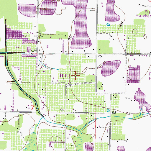Topographic Map of Raulerson Estates North, FL