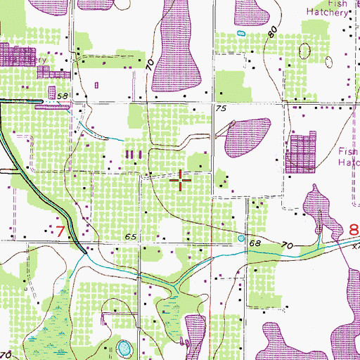 Topographic Map of Raulerson Estates South, FL