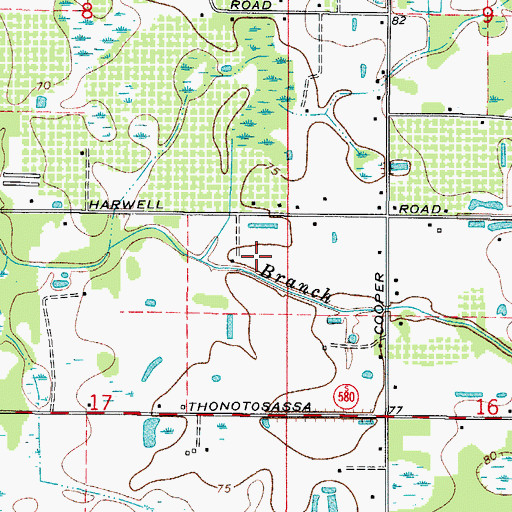 Topographic Map of Ray, FL