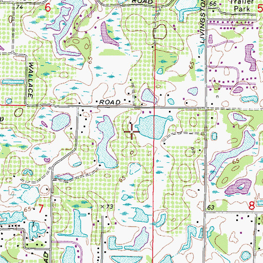 Topographic Map of Ridgelake, FL