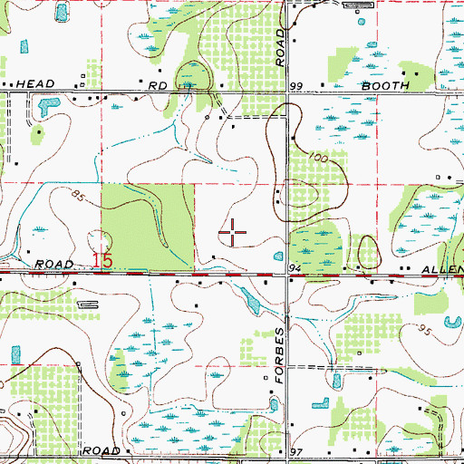 Topographic Map of Rini Ranch, FL