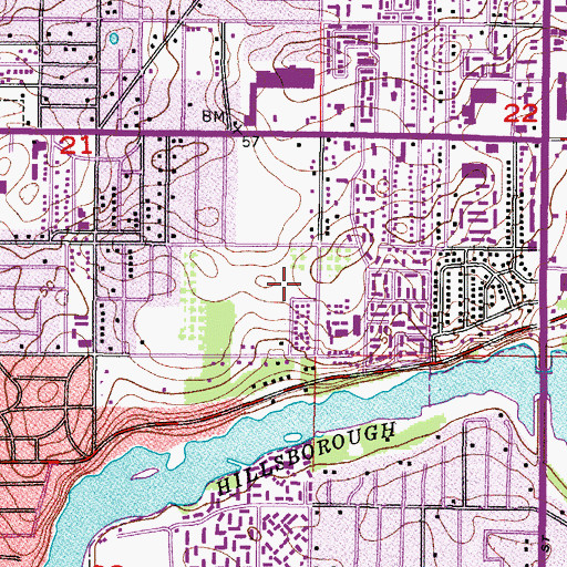 Topographic Map of River Bluffs, FL
