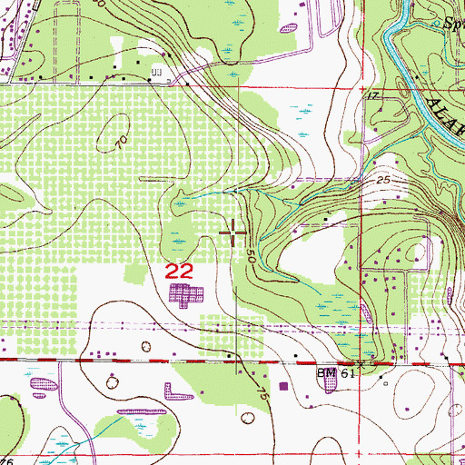 Topographic Map of Riverglen, FL