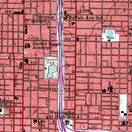 Topographic Map of Robles Park Estates, FL