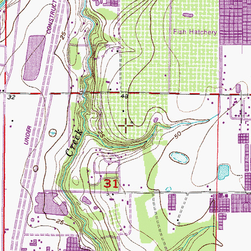 Topographic Map of Rock, FL