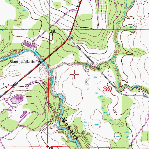Topographic Map of Saffold Estates, FL