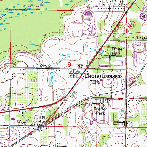 Topographic Map of Sam Mills, FL