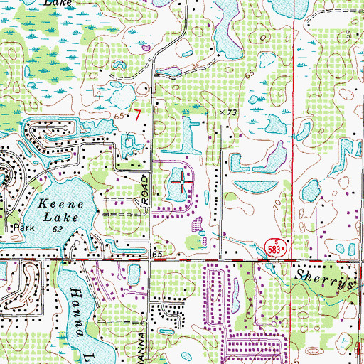 Topographic Map of San Remo, FL